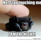 Illustration for article titled PNW Bats ETA: maybe or maybe not